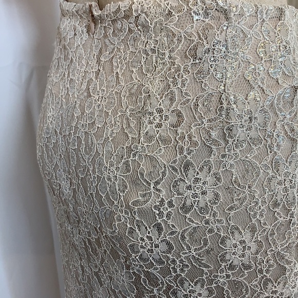 Cremieux Cody Skirt Silver/Taupe Sparkle Lined Midi Length, Lined, Size Medium - Picture 5 of 14